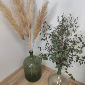 cjoli-photo-4